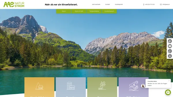 Website Screenshot: Alpen Adria Naturstrom Gmbh - AAE Naturstrom ? zertifizierter Naturstrom aus Österreich - Date: 2023-06-15 16:02:34