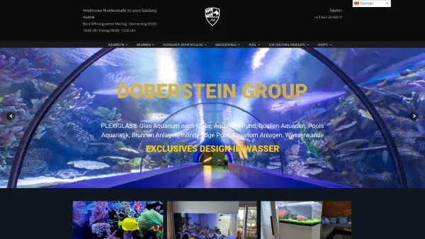 Website Screenshot: DS GmbH - Doberstein Group-Passion in Quality Aquarium, Pool, Brunnen - Date: 2023-06-26 10:25:51