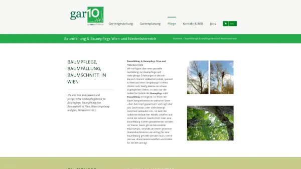Website Screenshot: Baumpflege und Baumschnitt in Wien - Baumfällung, Baumschnitt & Baumpflege Wien und Niederösterreich - Date: 2023-06-26 10:25:53