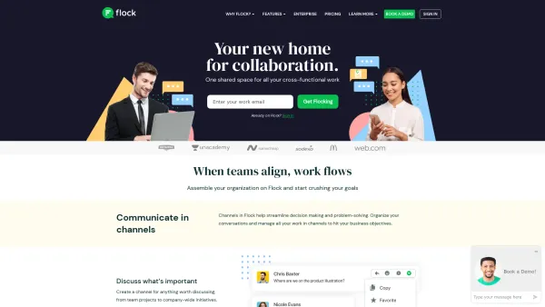 Website Screenshot: Bergmair - Team Messenger & Online Collaboration Platform – Flock - Date: 2023-06-15 16:02:34