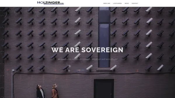 Website Screenshot: Holzinger GmbH - Homepage - Holzinger - Date: 2023-06-14 10:38:31