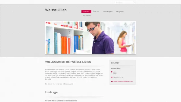 Website Screenshot: Weisse Lilien schneereumung und reinigung hausbetreuung - Weisse Lilien - Date: 2023-06-14 10:38:36