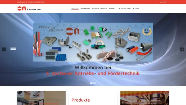 Website Screenshot: E. Aschauer GmbH - Österreich | Traiskirchen - Antriebstechnik, Fördertechnik - E. Aschauer GmbH - Antriebs u. Fördertechnik - Date: 2023-06-23 11:56:40