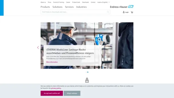 Website Screenshot: Endress+Hauser Ges.m.b.H. - Flow, level, liquid analysis, optical analysis, pressure, temperature measurement, software and system products | Endress+Hauser - Date: 2023-06-22 12:13:10