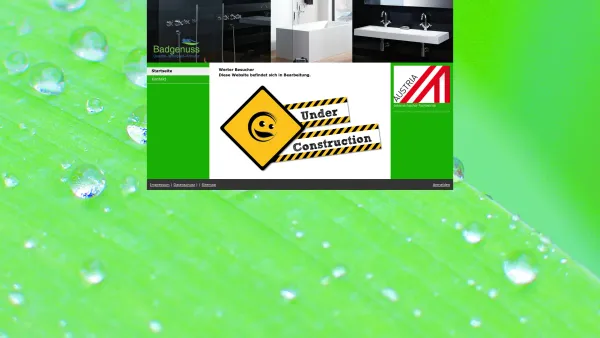 Website Screenshot: Hidex Hiden & Dexl OG - Badezimmer, Sanitär, Ausstattung - Badgenuss.com - Bad und Sanitär - Date: 2023-06-15 16:02:34