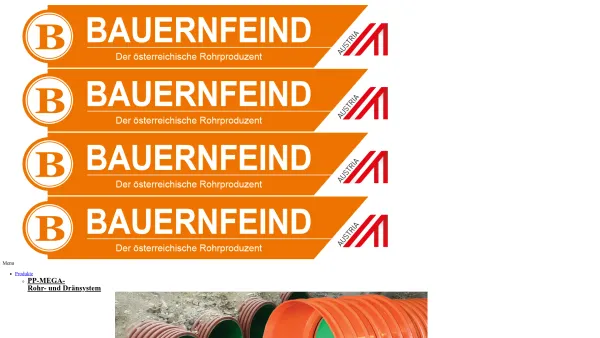 Website Screenshot: Bauernfeind GmbH - Startseite - Bauernfeind GmbH - Date: 2023-06-14 10:37:55