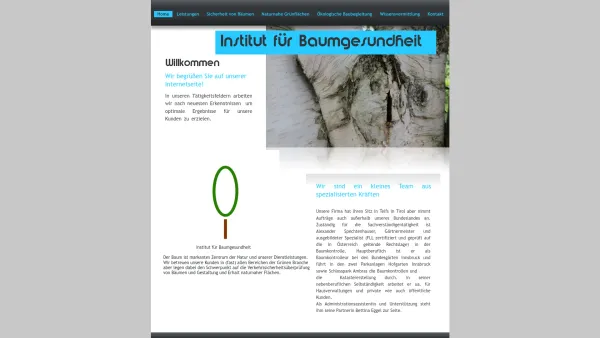 Website Screenshot: Institut für Baumgesundheit - Baumgutachten und Baumkontrolle in Tirol - Date: 2023-06-14 10:37:44