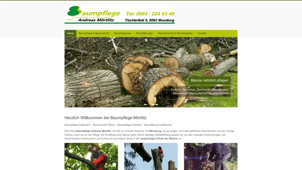 Website Screenshot: baumpflege-baumschnitt.com - Baumpflege Klagenfurt, Kärnten - Baumpfleger Mörtlitz - Baumschnitt Villach, St. Veit - Date: 2023-06-22 12:13:13