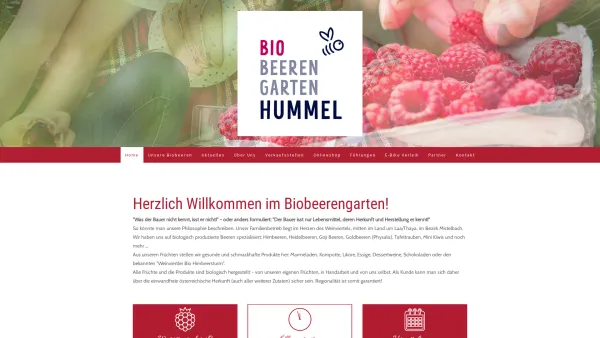 Website Screenshot: Biobeerengarten Hummel - Biobeerengarten - Hummel - Date: 2023-06-22 12:13:15