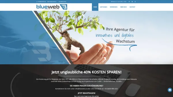 Website Screenshot: BlueWEB Webagentur - Modernes Webdesign & Grafikdesign aus Oberösterreich - Date: 2023-06-22 15:11:08