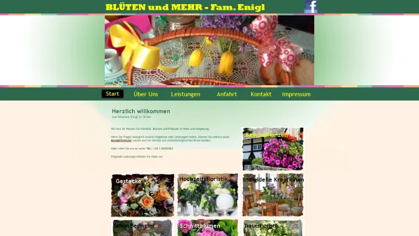 Website Screenshot: Franz Diese Seite ist momentan nicht erreichbar - Blumen Enigl - Willkommen - Date: 2023-06-22 15:11:08