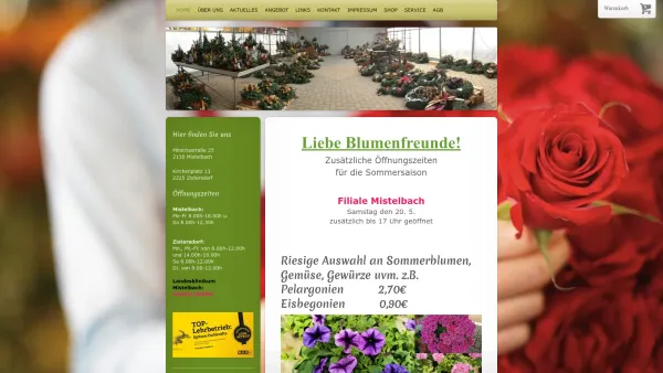Website Screenshot: Annemarie Blumen Öhler - Blumen Öhler - Home - Date: 2023-06-22 15:11:08