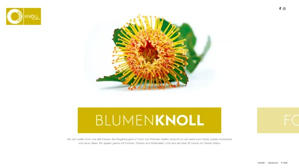 Website Screenshot: Blumen Knoll GesmbH - Blumen Knoll – Ihr Blumen-Geschäft in Wien - Date: 2023-06-22 12:13:15