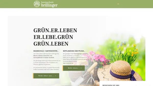 Website Screenshot: Helmut Brillinger und Martha Brillinger Gesellschaft bürgerlichen Baumschule Brillinger - Baumschule Brillinger | Bäume, Stäucher, Hecken, Gärtnerei - Date: 2023-06-22 12:13:16