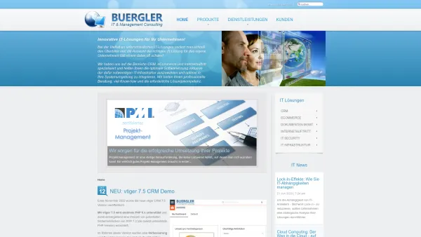 Website Screenshot: BUERGLER IT & Management Consulting - BUERGLER IT & Management Consulting - Date: 2023-06-22 15:13:16