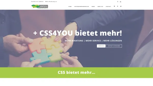 Website Screenshot: CSS4YOU.AT | 4 BEREICHE 1 TEAM - CSS4YOU | consulting & service solution GmbH | in 1220 Wien - Date: 2023-06-14 10:39:20