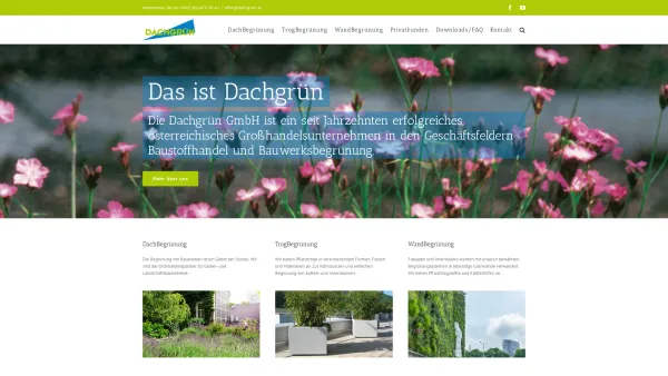 Website Screenshot: Firma Dachgrün - Dachgrün - Date: 2023-06-22 15:00:15