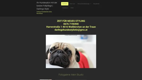 Website Screenshot: Darlings-Hundestylistin Anita Brunnbauer - Ihr Hundesalon mit der besten Fellpflege | Darlings Style - Date: 2023-06-22 15:11:10