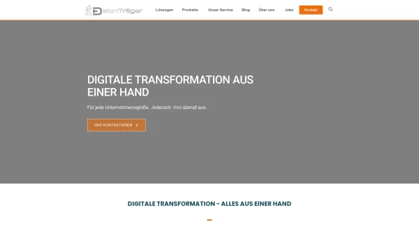 Website Screenshot: Datenträger EDV-Dienstleistungs GmbH - Home - Datenträger EDV GmbH - Date: 2023-06-22 15:00:16