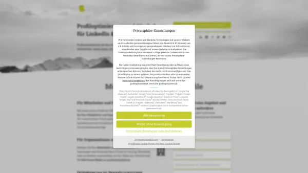 Website Screenshot: Die Profiloptimierer - Profil bei LinkedIn & XING professionell optimieren / erstellen lassen - Date: 2023-06-14 10:46:38