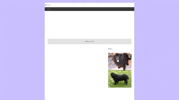 Website Screenshot: DOGSTYLE Hunde und Katzenfellpflege - Dogstyle - Date: 2023-06-22 15:00:18