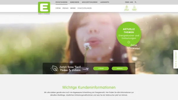 Website Screenshot: Energie Steiermark AG - Privatkunden - Date: 2023-06-14 10:36:56