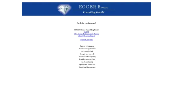 Website Screenshot: Weiterleitung - EGGER Bruno Consulting GmbH, Bruno Egger - Date: 2023-06-22 15:10:52