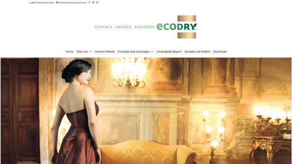 Website Screenshot: ECODRY gesundes und trockenes Wohnen - Ecodry International | Mauerentfeuchtung mit ECODRY - nie mehr feuchte, nasse Wände im Keller - Date: 2023-06-22 15:00:19
