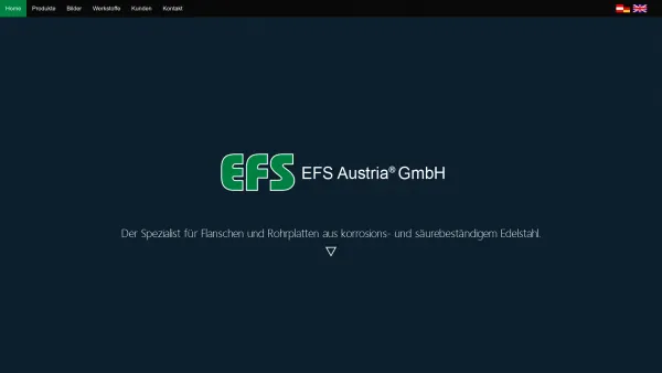Website Screenshot: EFS Austria GmbH - EFS Austria GmbH: Deutsch - Date: 2023-06-22 15:00:20