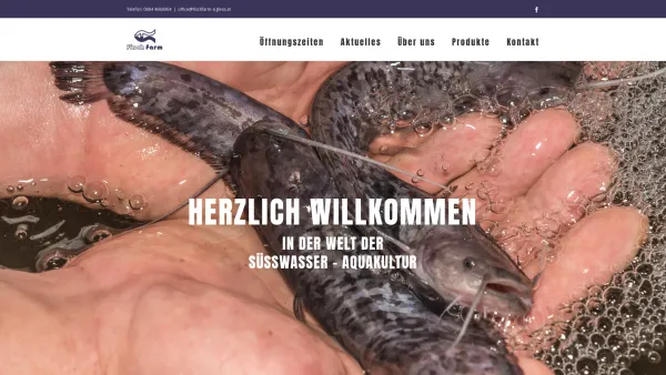 Website Screenshot: Leitner Angebote - Fischfarm Sigless – Frischer Fisch aus der Region! - Date: 2023-06-22 15:11:27