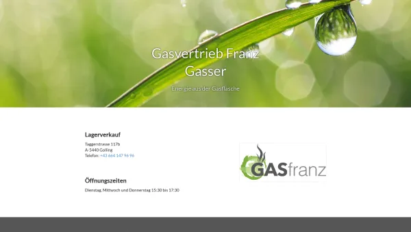 Website Screenshot: Gasser Franz Gasvertrieb, Geräteverleih, Gase - Gasvertrieb Franz Gasser - Date: 2023-06-22 15:01:24