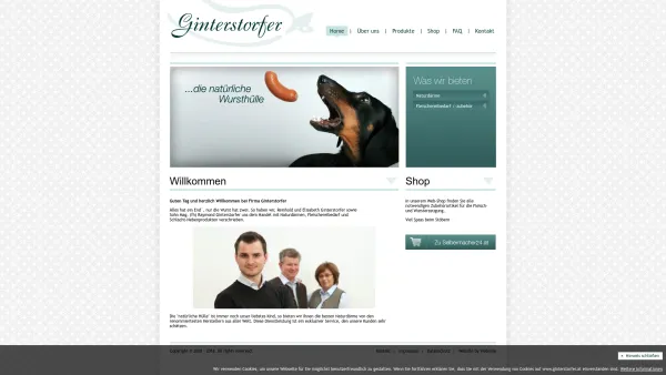 Website Screenshot: Ginterstorfer GesmbH & Co KG - Ginterstorfer - Home - Date: 2023-06-22 15:13:38