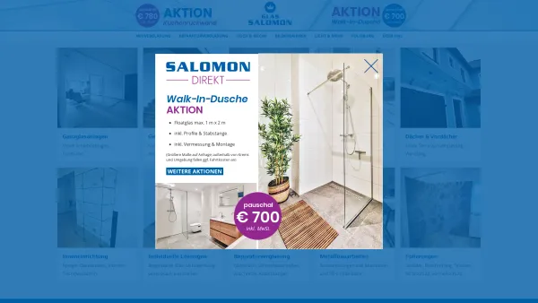 Website Screenshot: Hans Salomon & Co GmbH - Hans Salomon & Co GmbH | Glaserei | Krems an der Donau - Date: 2023-06-22 15:01:41