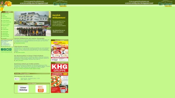 Website Screenshot: Lebensmittel Ferd. Grüner & Co KG - Lebensmittel GRÜNER Zams - Tirol - Date: 2023-06-22 15:01:57