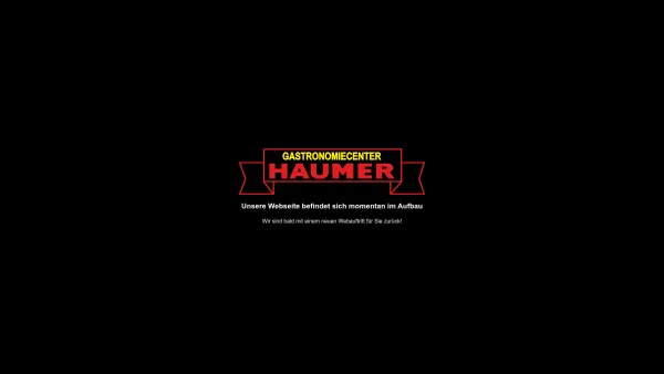 Website Screenshot: Gastronomiecenter Technology Haumer GmbH. - Date: 2023-06-14 10:40:21