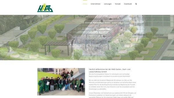 Website Screenshot: HAAS Garten-, Dach und Landschaftsbau GmbH - Gründach von Haas Garten, Experte für Dachbegrünung & Dachgarten NÖ - Date: 2023-06-22 15:12:04