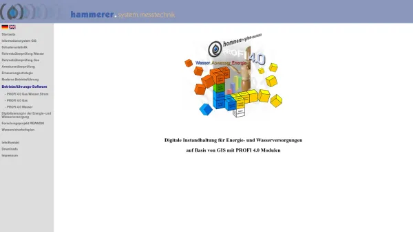 Website Screenshot: hammerer-system-messtechnik - hammerer . system beratung - Date: 2023-06-22 15:12:08
