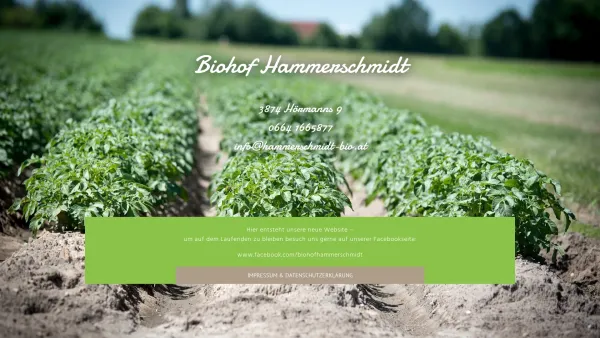 Website Screenshot: Bio-Bauernhof Hammerschmidt - Biohof Hammerschmidt – Ferienwohnungen und Bio-Erdäpfel - Date: 2023-06-15 16:02:34