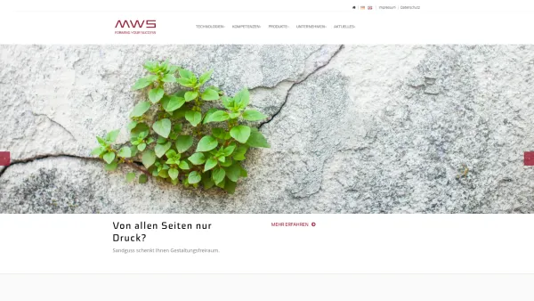 Website Screenshot: MWS Hightec GmbH - Sandguss, Kokillenguss, Aluminiumguss - MWS - Date: 2023-06-14 10:40:32