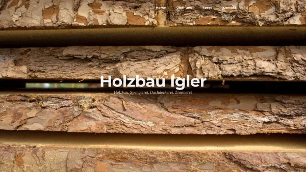 Website Screenshot: Ing. Hans Holzbau Igler - Holzbau Igler - Date: 2023-06-14 10:38:10