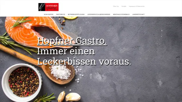 Website Screenshot: Heinz Winsauer Gesellschaft Hopfner Gastro - Home - Hopfner Gastro - Date: 2023-06-22 15:16:32