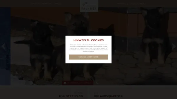 Website Screenshot: Hundepension Falkner - Hundepension Falkner • Sölden - Date: 2023-06-22 15:16:32