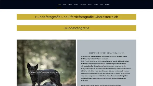 Website Screenshot: Hundefotografie und Pferdefotografie - Hundefotograf und Pferdefotograf Oberösterreich I Markus Nitsche - Date: 2023-06-26 10:26:24