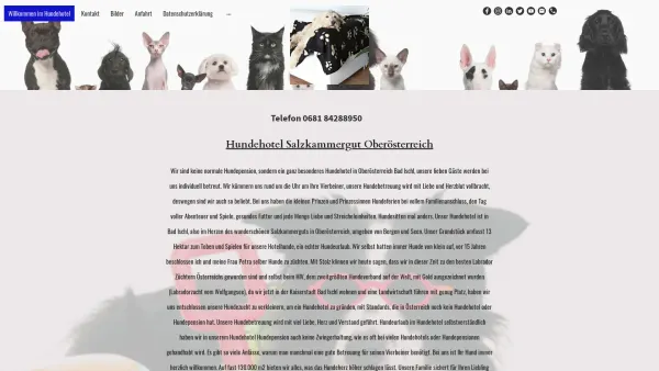 Website Screenshot: Hundehotel Salzkammergut - * Hundehotel Salzkammergut * Hundepension Oberösterreich * - Date: 2023-06-15 16:02:34