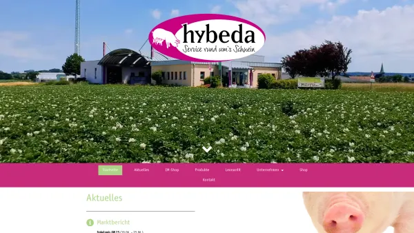 Website Screenshot: HYBEDA GmbH - Startseite - Hybeda - Date: 2023-06-22 15:12:45