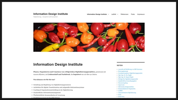 Website Screenshot: Dr.Nagler Information Design Institute - Information Design Institute – Digitalisierung – kompetent und konzentriert - Date: 2023-06-22 15:14:16