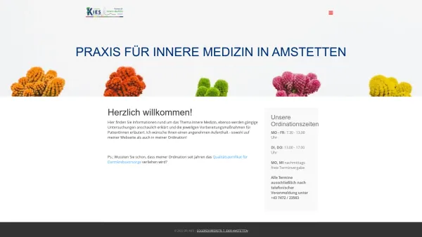 Website Screenshot: WebOrdination Dr. Johannes Kies Facharzt für Innere Mediz| - Home - Date: 2023-06-22 15:14:26