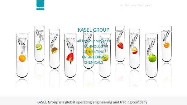 Website Screenshot: KASEL-Technology Engineering and Plant Construction for the Biotechnology Industry Distributor of Citric Acid Salt of Citric Acid - Kasel Group – Kasel Group's business activities range from the trade of chemicals to general delivery - Date: 2023-06-23 12:04:40