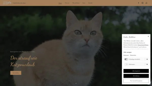 Website Screenshot: Katzenurlaub Little Paws - Katzenpension | Katzenurlaub Lion Paws - Date: 2023-06-26 10:26:30