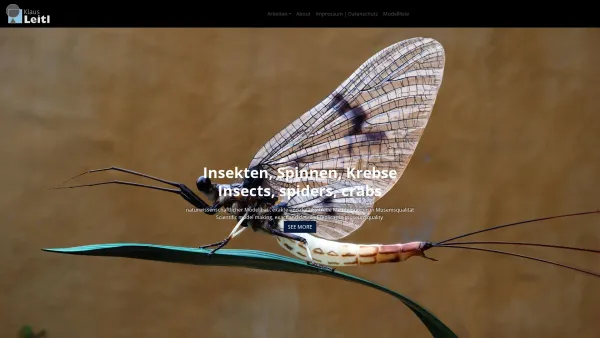 Website Screenshot: Klaus Leitl - Insektenmodelle | naturwissenschaftliche Modelle | Klaus Leitl - Date: 2023-06-23 12:04:57